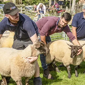 County and village show